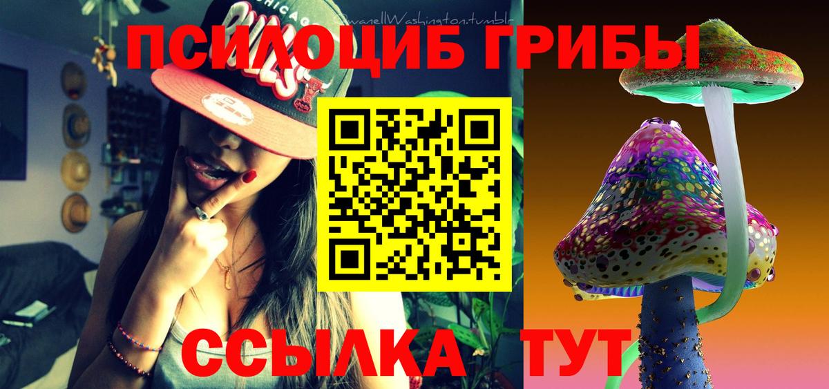 Гулькевичи  Галлюциногенные грибы Psilocybe  Вход с VPN 